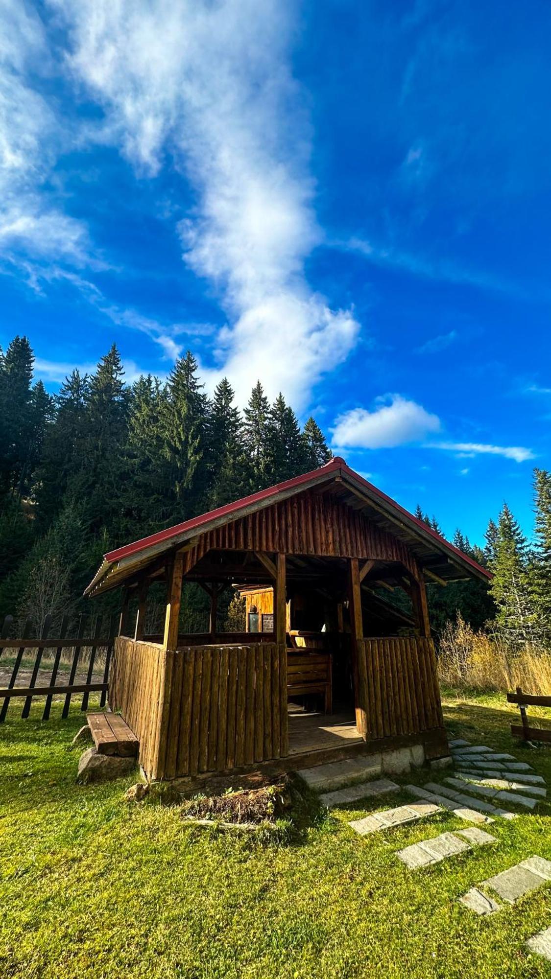 Castle Romance - Pamporovo Bagian luar foto